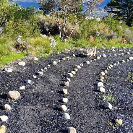 Akkedis at Artemis Lejlighed Franschhoek Eksteriør billede